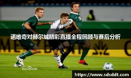 诺维奇对赫尔城精彩直播全程回顾与赛后分析